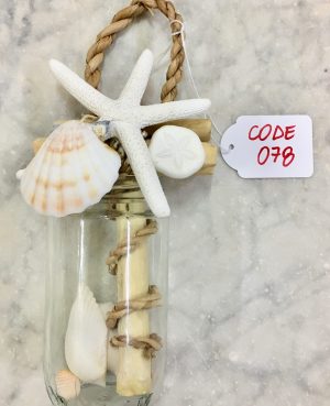 Decorative Assorted Seashells - Cappel's